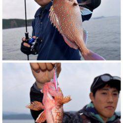 渡船屋たにぐち 釣果