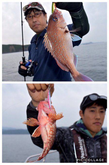 渡船屋たにぐち 釣果