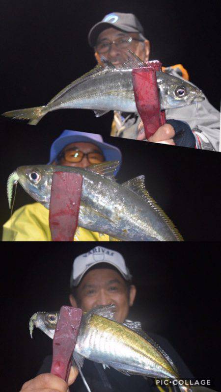 渡船屋たにぐち 釣果