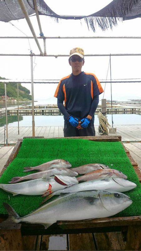 海の釣堀 海恵 釣果