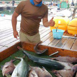 海の釣堀 海恵 釣果