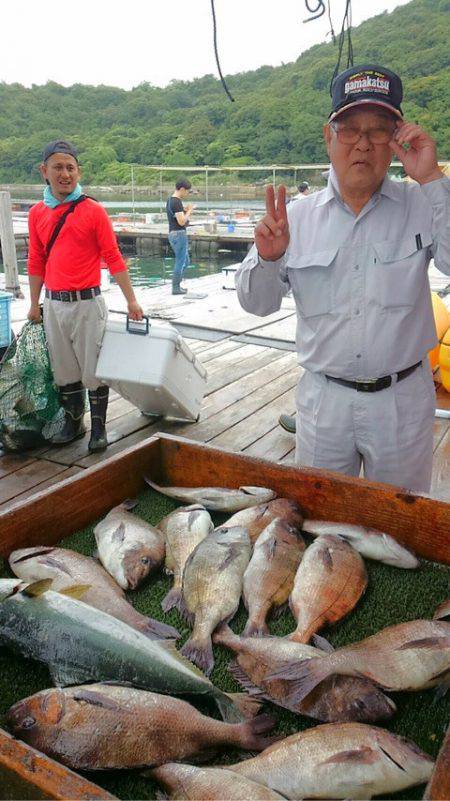 海の釣堀 海恵 釣果