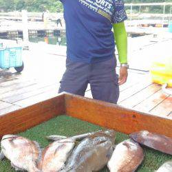 海の釣堀 海恵 釣果