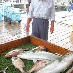 海の釣堀 海恵 釣果