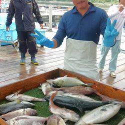海の釣堀 海恵 釣果