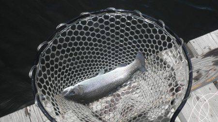 平谷湖フィッシングスポット 釣果