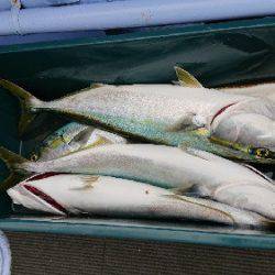 小樽港遊漁船SHAKE 釣果