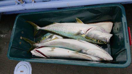 小樽港遊漁船SHAKE 釣果