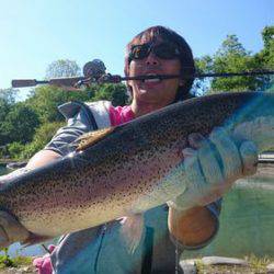 つりぼりあかし 釣果