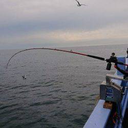 小樽港遊漁船SHAKE 釣果