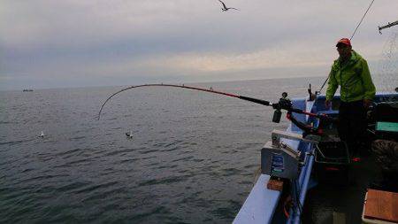 小樽港遊漁船SHAKE 釣果