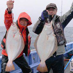 小樽港遊漁船ＳＨＡＫＥ 釣果