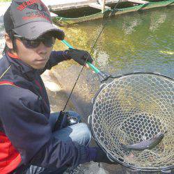 平谷湖フィッシングスポット 釣果