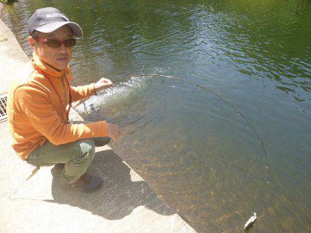 平谷湖フィッシングスポット 釣果