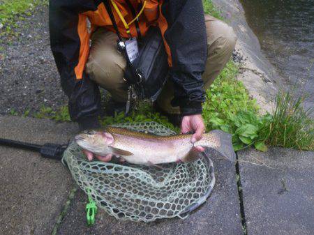 平谷湖フィッシングスポット 釣果