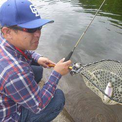 平谷湖フィッシングスポット 釣果