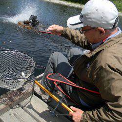 平谷湖フィッシングスポット 釣果