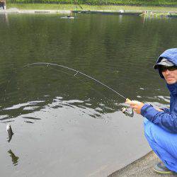 平谷湖フィッシングスポット 釣果