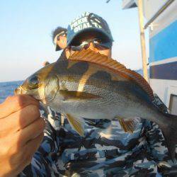 佐衛美丸 釣果