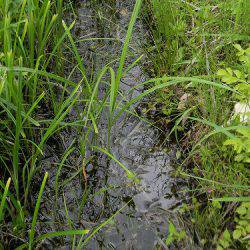 平谷湖フィッシングスポット 釣果