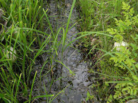 平谷湖フィッシングスポット 釣果