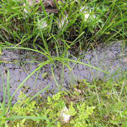 平谷湖フィッシングスポット 釣果