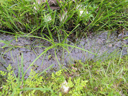 平谷湖フィッシングスポット 釣果