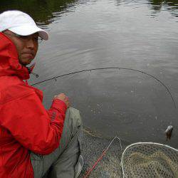 平谷湖フィッシングスポット 釣果
