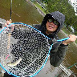 平谷湖フィッシングスポット 釣果