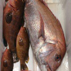 遊漁船 家入 釣果