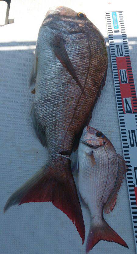 遊漁船 家入 釣果