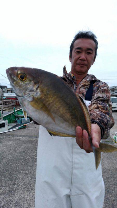 富士丸 釣果