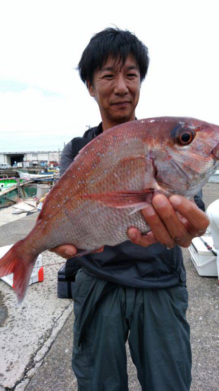 富士丸 釣果