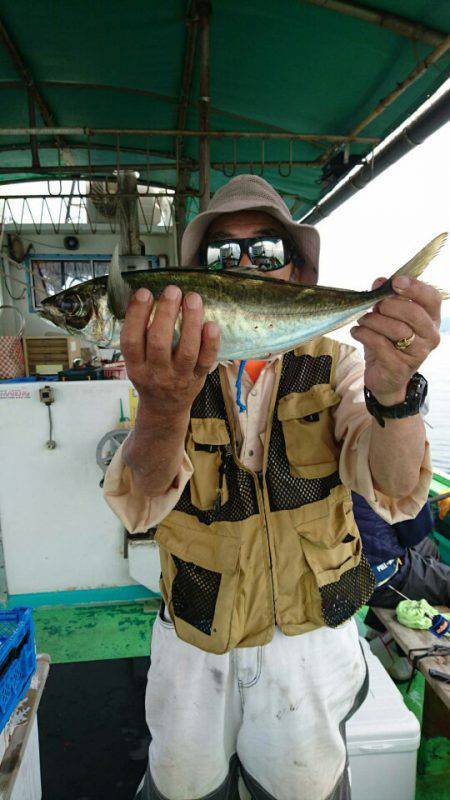 小島丸 釣果