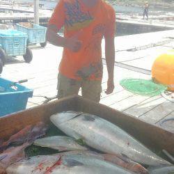 海の釣堀 海恵 釣果