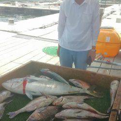 海の釣堀 海恵 釣果