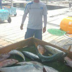 海の釣堀 海恵 釣果