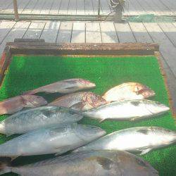 海の釣堀 海恵 釣果