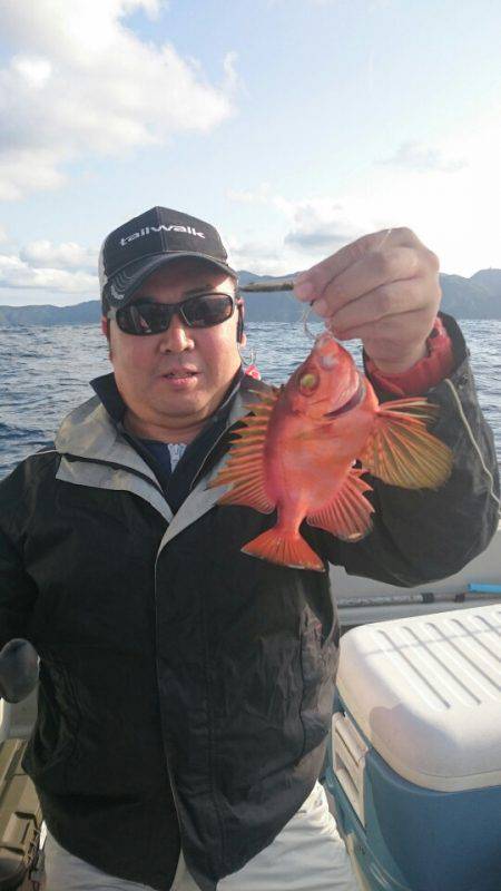 ARCADIAⅡ (アルカディアⅡ) 釣果