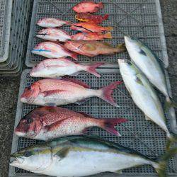 ARCADIAⅡ (アルカディアⅡ) 釣果