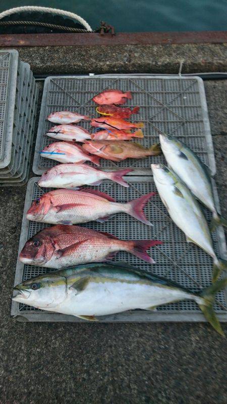 ARCADIAⅡ (アルカディアⅡ) 釣果