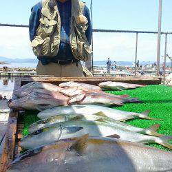 海の釣堀 海恵 釣果