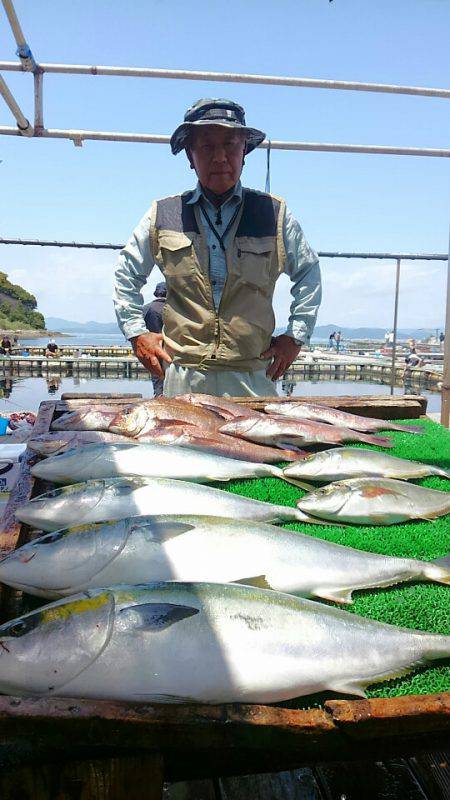 海の釣堀 海恵 釣果