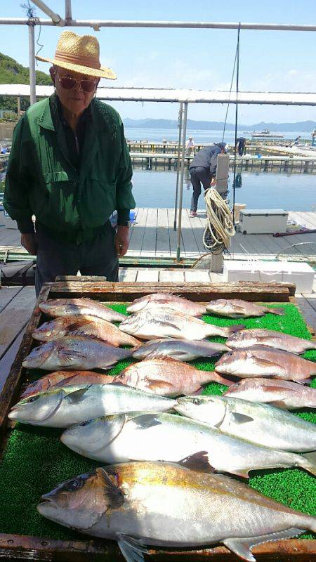 海の釣堀 海恵 釣果