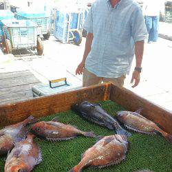海の釣堀 海恵 釣果