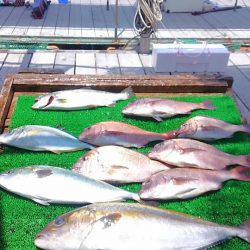 海の釣堀 海恵 釣果