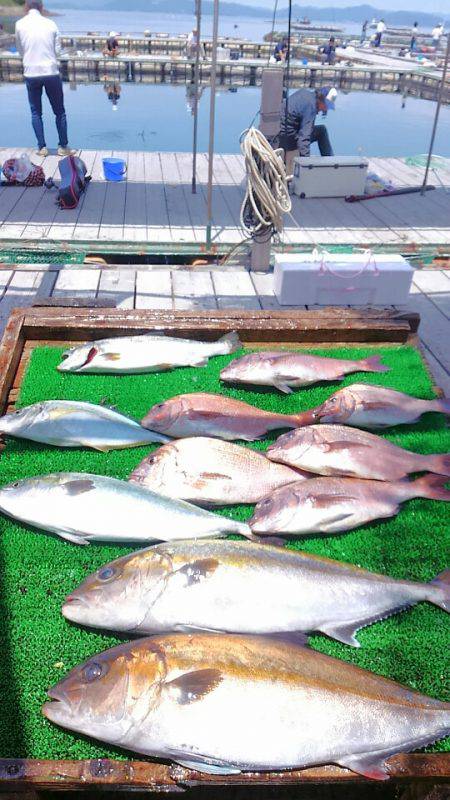 海の釣堀 海恵 釣果
