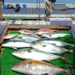 海の釣堀 海恵 釣果