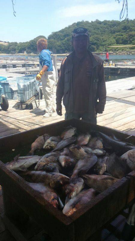 海の釣堀 海恵 釣果