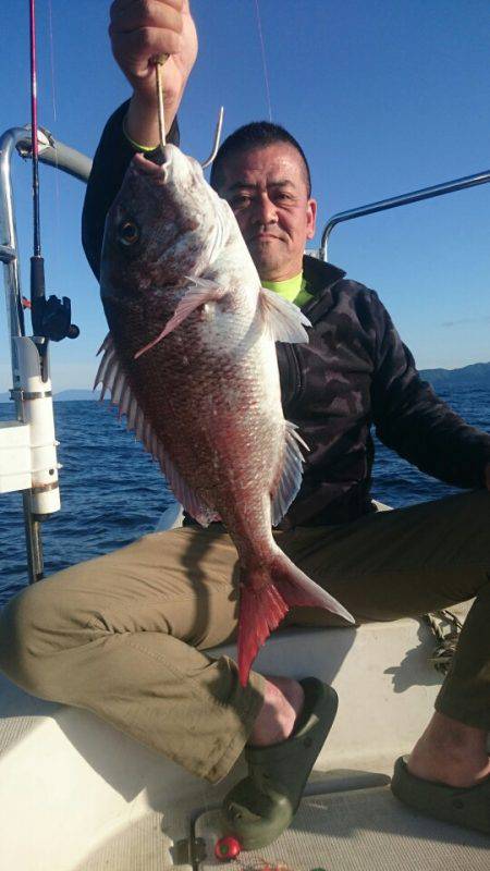 ARCADIAⅡ (アルカディアⅡ) 釣果